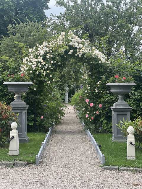 Roseportal i galvanisert stål med klatreroser
