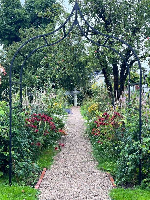 Rosetunnel av galvaniserte buer over en grusgang i visningshagen