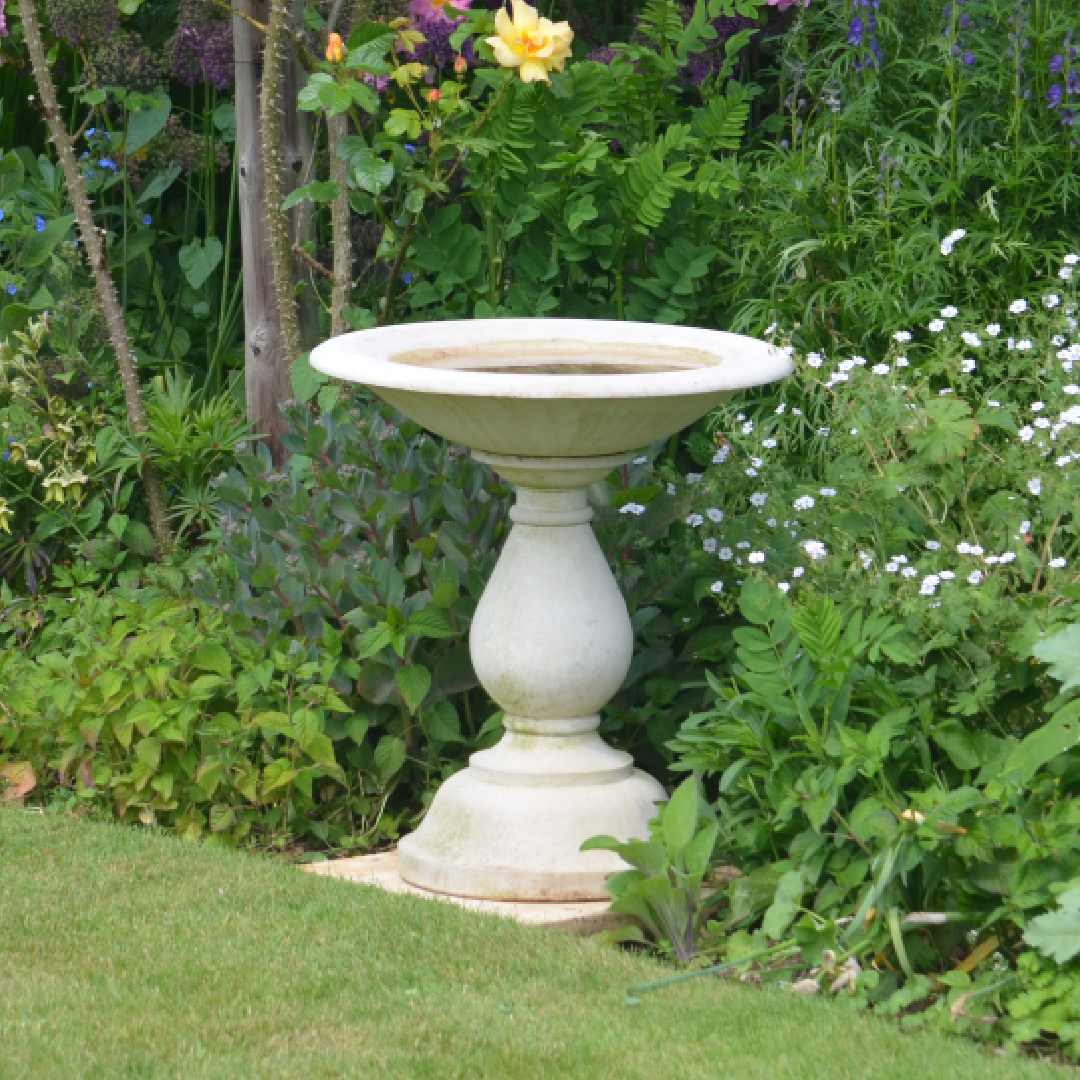 Arcadian-fuglebad i lys støpt stein blant blomstrende planter