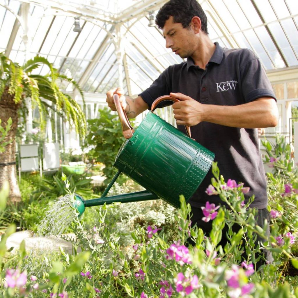KEW Gardens Hageredskaper