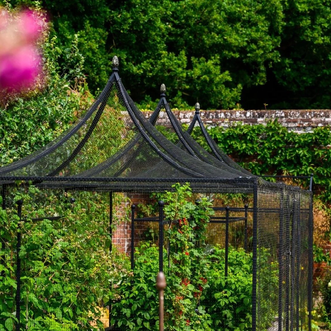 New Project - 2026-03-01T114634.330