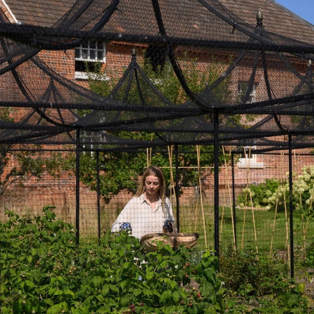 New Project - 2026-03-01T114829.812 Fruktbur i stål her med bær