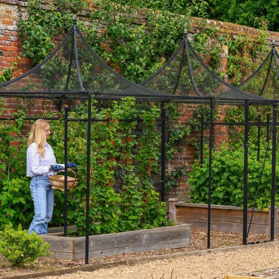 New Project - 2026-03-01T114903.825 Fruktbur i stål