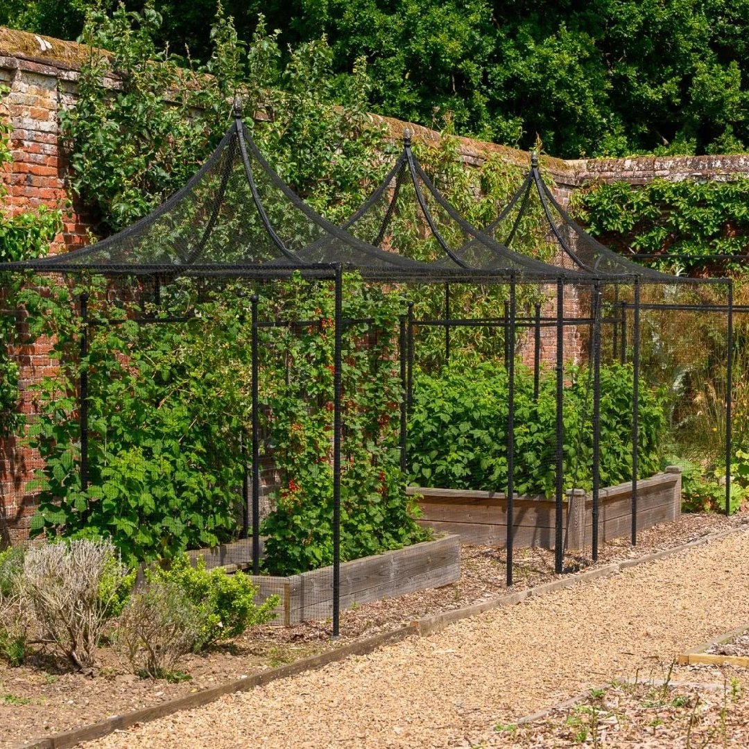 New Project - 2026-03-01T114959.352